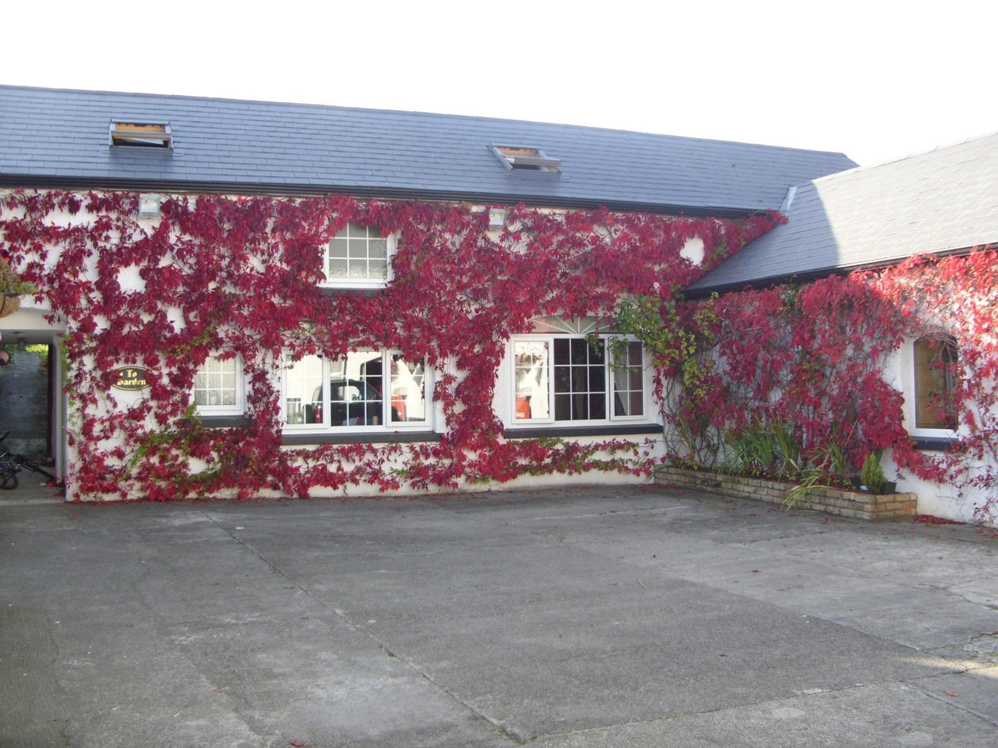 Townsend House Guest House Birr Exteriör bild